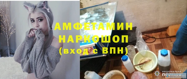 винт Новозыбков