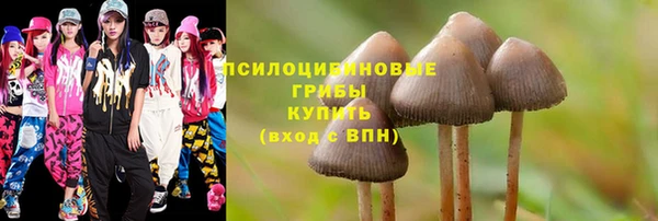 трава Баксан